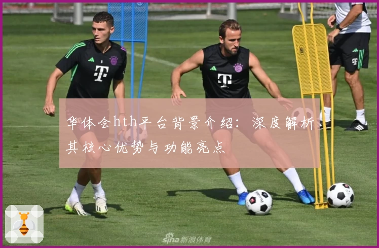 华体会hth平台背景介绍：深度解析其核心优势与功能亮点